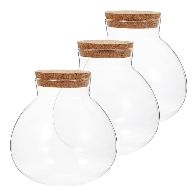 Luxshiny 3Pcs Hydroponic Ecosystem Bottle Terrarium Glass Bottle Transparent for Plant Growing