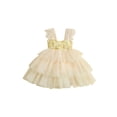 thumbnail image 1 of Coduop Toddler Baby Girls Princess Dress 3D Flower Lace Sleeveless Cute Layered Tulle Dress, 1 of 8