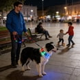 thumbnail image 4 of FeiFu LED Light-Up Dog Leash USB Rechargeable Luminous Traction Rope Adjustable Reflective Pull Strap Glow in the Dark Safety Leash for Night Walking, 4 of 6