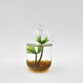 thumbnail image 3 of Plantas de plástico Artificiales jinwen Adorno del Acuario decoraciones, 3 of 6