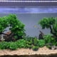 thumbnail image 4 of Decoración del acuario Vista a la montaña, Puente de resina Pabellón Adorno Roca Cueva Pecera Decoración con musgo para peces pequeños Camarones para ocultar Namotu DLM324, 4 of 5