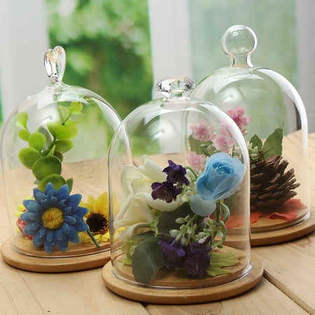 - Glass Display Cloche Bell Jar Dome Flower Immortal Preservation With Wooden Base