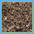thumbnail image 4 of Pennington Rejuvenate Premium All Purpose Potting Soil Mix, 8 qt., 4 of 23