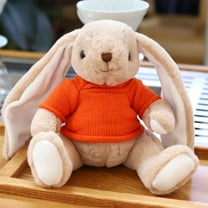 Bowayaoa Easter Bunny Rabbit Stuffed Animal, 9" Bunny Plush with Floppy Ears, Huggable & Washable, Baby Stuffed Animals Plush Toy for Girls Boys Kids Friends Easter Birthday Gifts