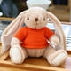 thumbnail image 1 of Fiudx Conejito de Peluche, Suave y Tierno, Regalo de Apoyo Emocional, Adorable Juguete para Amigos, Familiares y Novias, Ideal para Todas Las Edades, Ideal para Momentos Acogedores, 25 Cm., 1 of 5