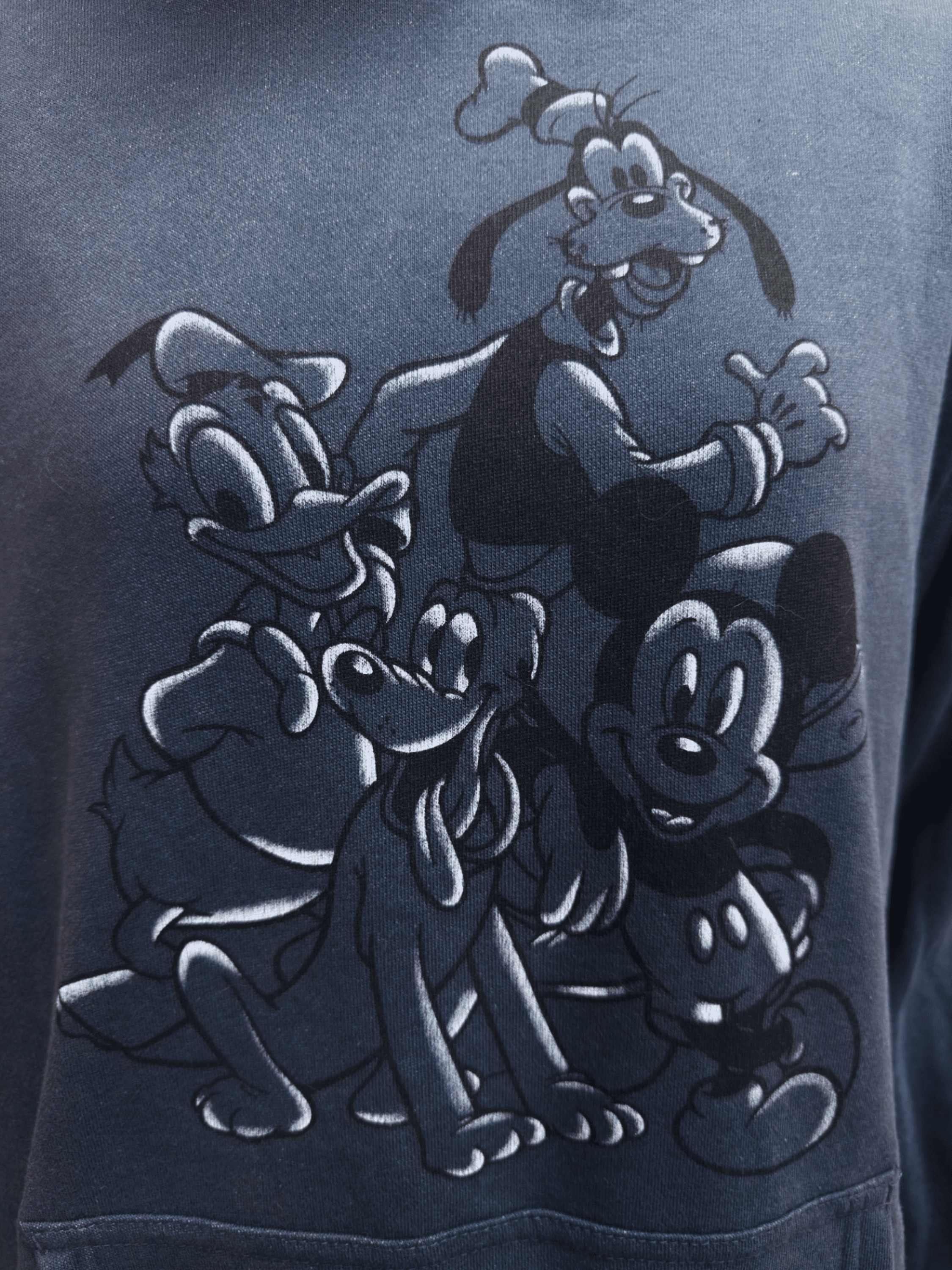 Disney Mickey & Friends Charcoal Adult Hoodie, S-XXL (Unisex)