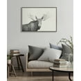 thumbnail image 5 of Kate and Laurel Sylvie Moose 2 crop BW Framed linen Textured Canvas Wall Art by Emiko and Mark Franzen of F2Images, 23x33 Gray, Decorative Forest Animal Art for Wall, 5 of 6