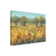 thumbnail image 2 of Trademark Fine Art 'Golden Fields II' Canvas Art by Tim OToole, 2 of 4