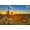 Unframed, variant on Art.com Saguaros at Sunset in Sonoran Desert near Phoenix. Stretched Canvas Print Wall Art, 18" x 12"