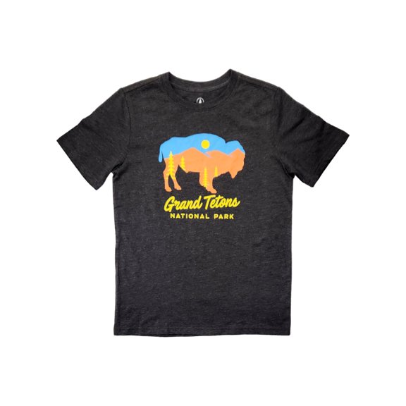 Boys Gray Short Sleeve Buffalo Grand Tetons Tee Shirt T-Shirt Medium 8
