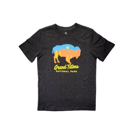 Boys Gray Short Sleeve Buffalo Grand Tetons Tee Shirt T-Shirt Medium 8
