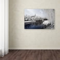 thumbnail image 3 of Trademark Fine Art "Lotus Lake II" Canvas Art by Philippe Hugonnard, 3 of 3