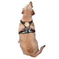 thumbnail image 2 of Naloa Easter Eggs Pet Harness Vest with Traction Rope, Adjustable No-Choke Dog Vest for Outdoor, Walking - X-Large, 2 of 4
