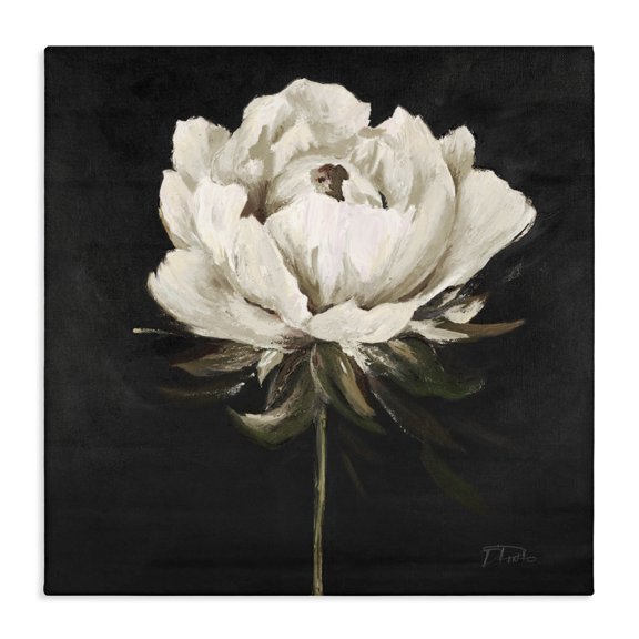 Stupell Industries Pretty Delicate Bloom on Black Canvas Wall Art, design by Patricia Pinto