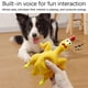 thumbnail image 5 of Juguete de pollo para perros que chirría, juguete de látex para perros que grita y hace ruido, divertidos juguetes interactivos para cachorros que chirrían para el aburrimiento, juguete para buscar, 5 of 6
