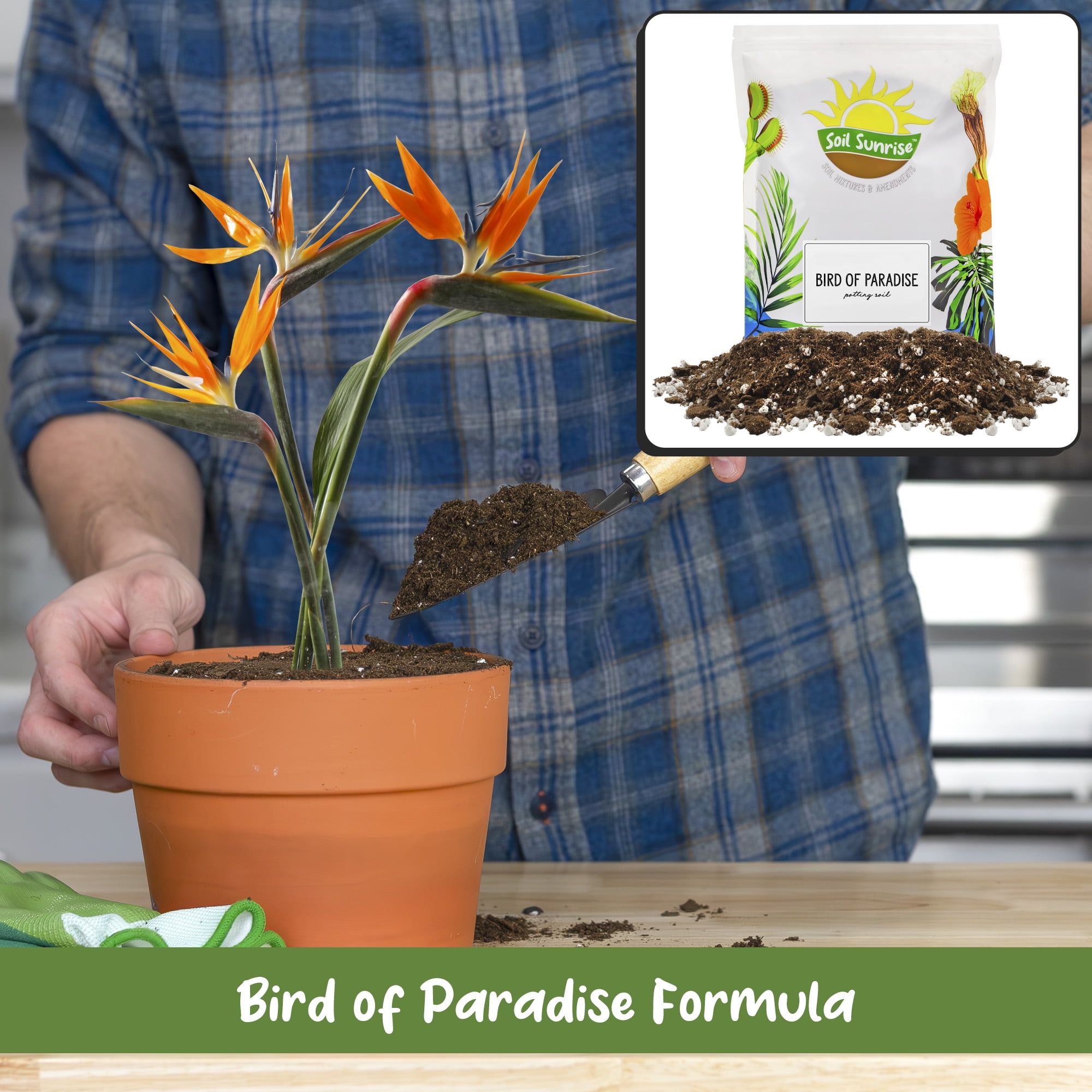 Bird of Paradise Potting Soil Mix (8 Quarts), All Natural Mix for Indoor / Outdoor Container Tropical Plants