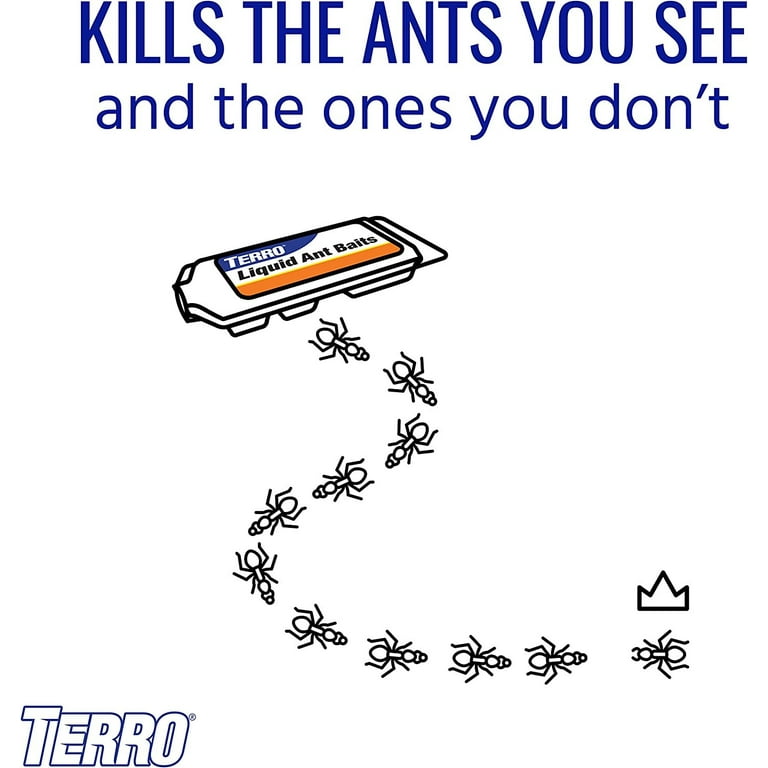 Terro Ant Killer II, Liquid Ant Baits - 6 pack, 0.36 fl oz bait