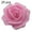 Cyan Pink, variant on opvise 25/50/100Pcs Artificial PE Foam Rose Flowers Head DIY Mothers Day Decor Light Pink