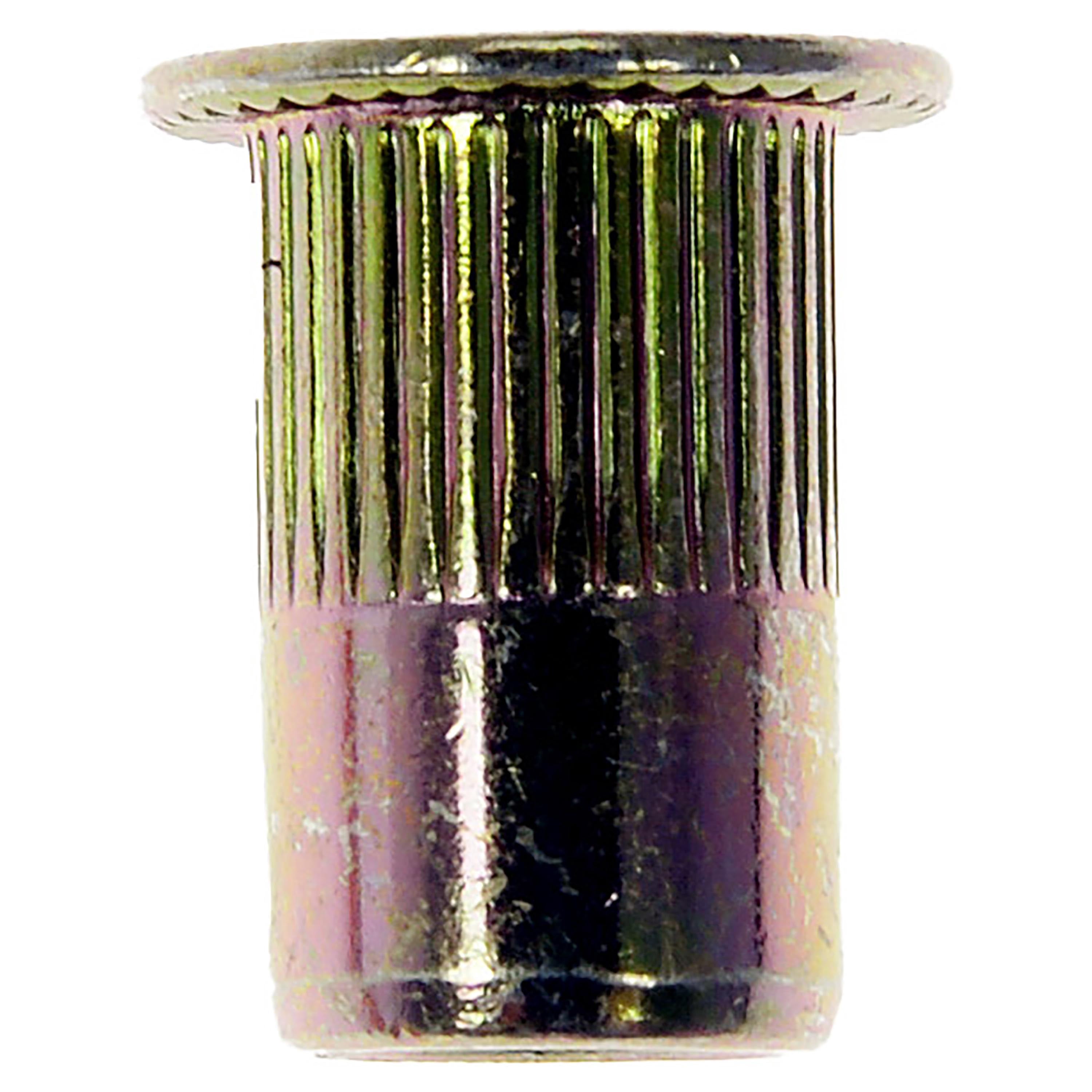 Dorman 963-281BX Rivet Nut - #10-32 (Pack of 20)