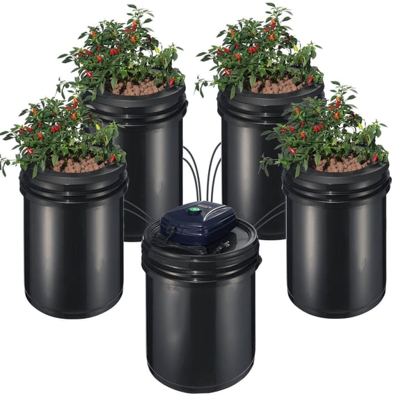 RDWC Hydroponic System 4 Bucket 5 Gallon Recirculating Deep Water Culture