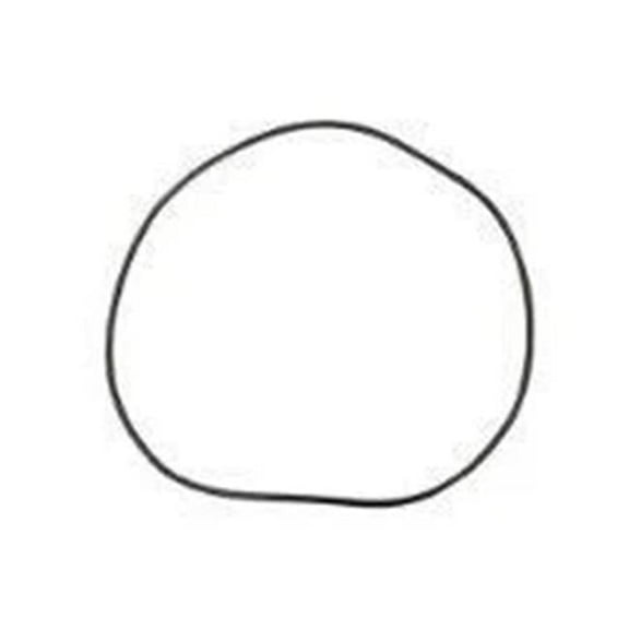 Waterway Plastics 805-0460B Bagged Lid O Ring for ClearWater II Cartridge & D.E. Filter