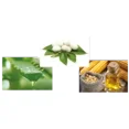 thumbnail image 3 of G1 Hergen Shampooing Nourrissant Intense (400 ml), 3 of 4