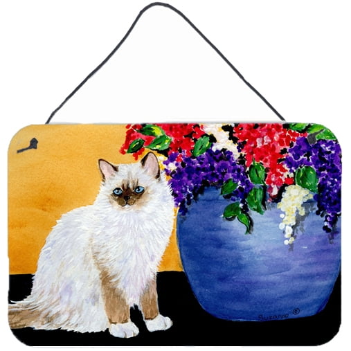Carolines Treasures SS8604DS812 Cat - Ragdoll Indoor Aluminium Metal Wall or Door Hanging Prints 8x12 multicolor