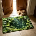 thumbnail image 5 of HCBY Doormat, 15.7x23.6in 3D Illusion Funny Welcome Mat, Non-Slip Absorbent Floor Rug, Humane Pet Deterrent Mat for Entryway Indoor Outdoor, 5 of 6