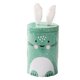 thumbnail image 1 of Cateissary Caja de hojalata con forma de conejito, estilo retro, para decoración de dulces, con orejas de conejo de peluche, caja de regalo para Almacenamiento y organización del hogar verde, 1 of 3