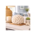 thumbnail image 2 of Coastal Resin Coral Orb for Home & Bathroom Decor - Textured Tabletop Accent for Office Shelf or Kitchen Styling - Decorative Sphere for Living Room, Coffee Table or Mantel Display - 6", Ivory & Tan, 2 of 11