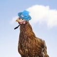 thumbnail image 6 of Chicken Hat for Hens Cute Decorative Hat Small Hat for Festival Party Holiday Blue, 6 of 9