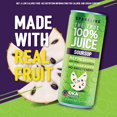 thumbnail image 4 of The True 100% Juice Sparkling Soursop, 4pack, No Added Sugar, 8.45 fl oz Can - Oka Products, 4 of 7