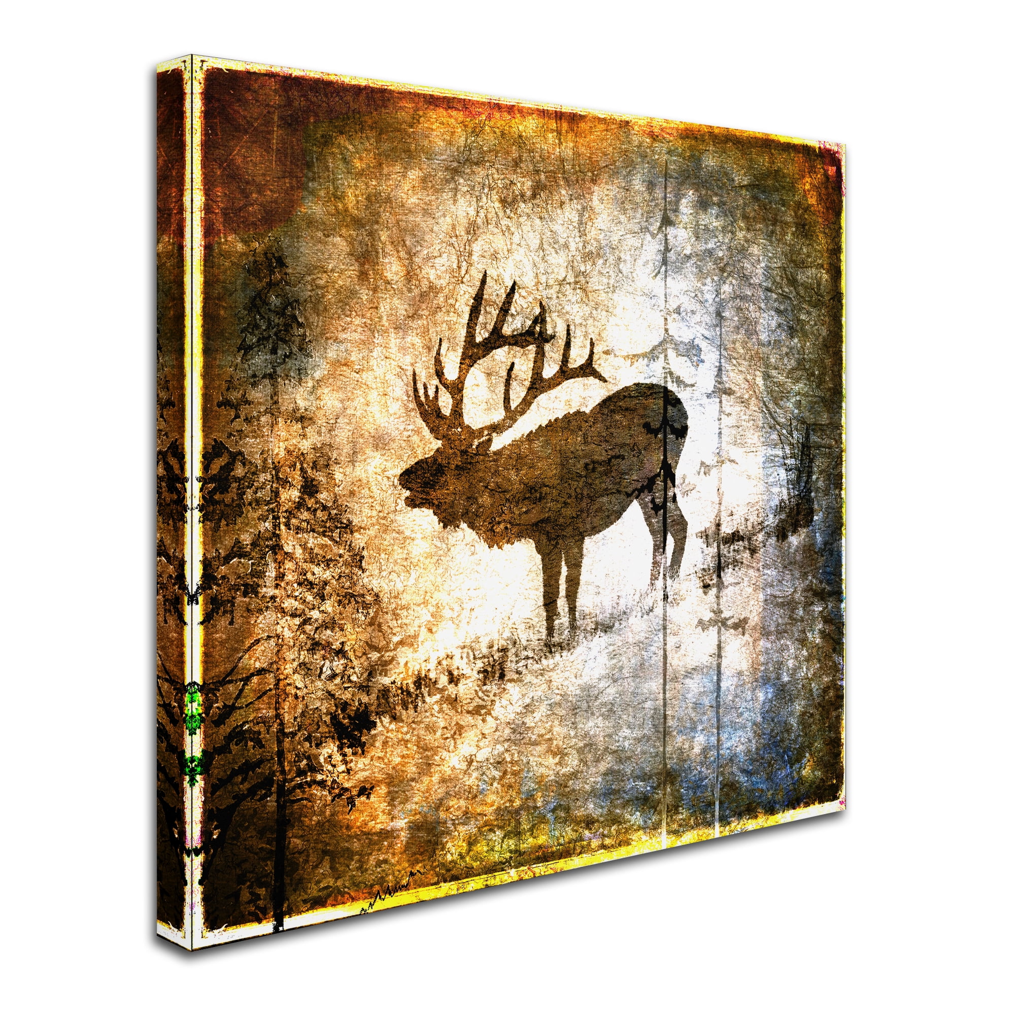 Trademark Fine Art 'High Country Elk' Canvas Art by LightBoxJournal