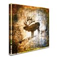 thumbnail image 2 of Trademark Fine Art 'High Country Elk' Canvas Art by LightBoxJournal, 2 of 3
