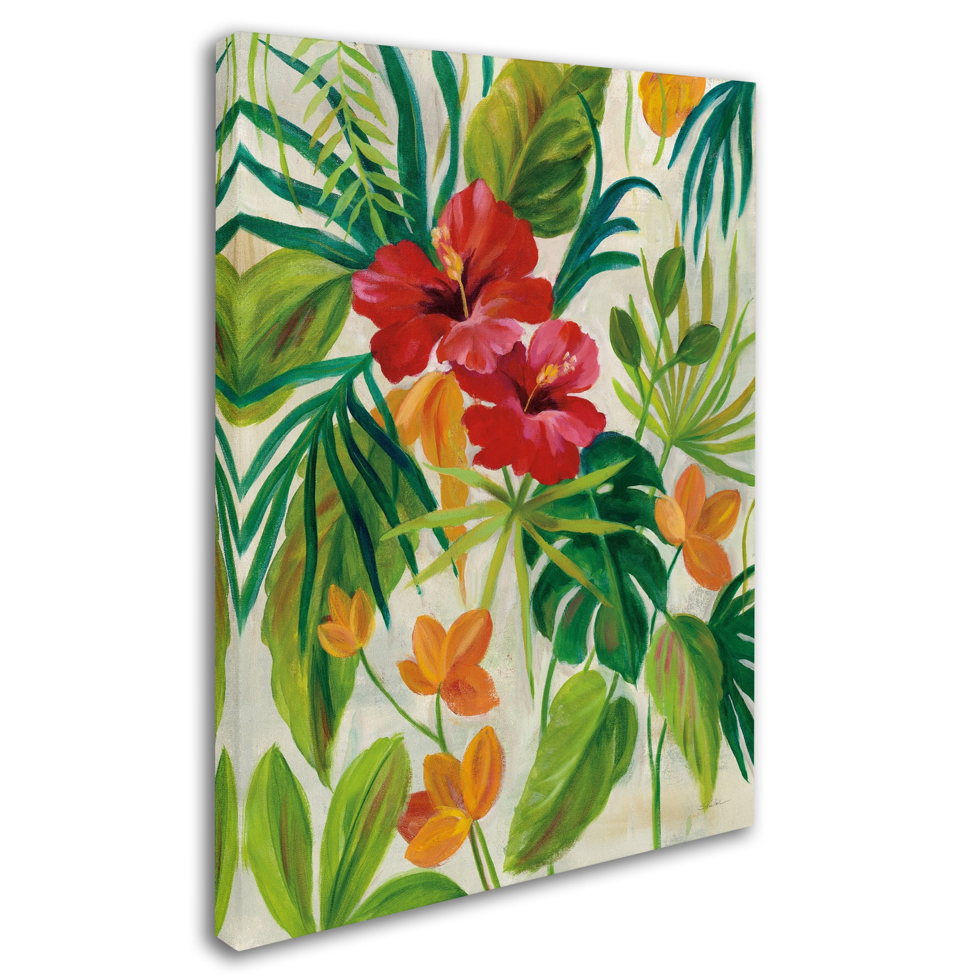 Trademark Fine Art 'Tropical Jewels II v2' Canvas Art by Silvia Vassileva