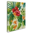 thumbnail image 2 of Trademark Fine Art 'Tropical Jewels II v2' Canvas Art by Silvia Vassileva, 2 of 3
