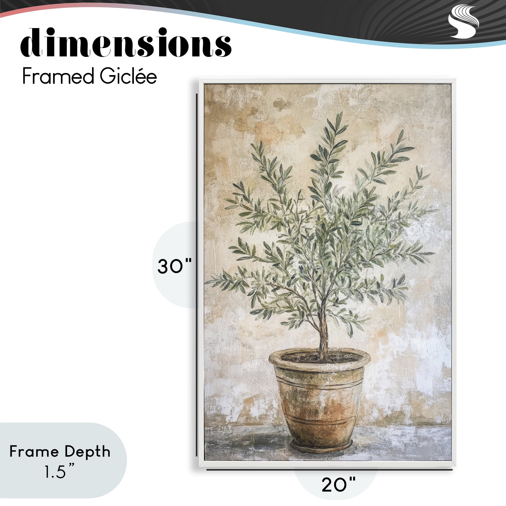 Stupell Industries Mediterranean Potted Olive White Framed Giclee Art, design by Petal Prints Design