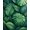 Green, Pattern 6, variant on Flatwoven High Traffic Area Rug, Botanical Green Monstera Leaf Bathroom Non Slip, Non Slip, Stain Resistant, Washable Area Rugs for Living Room, Bedroom(Green, 4X6)