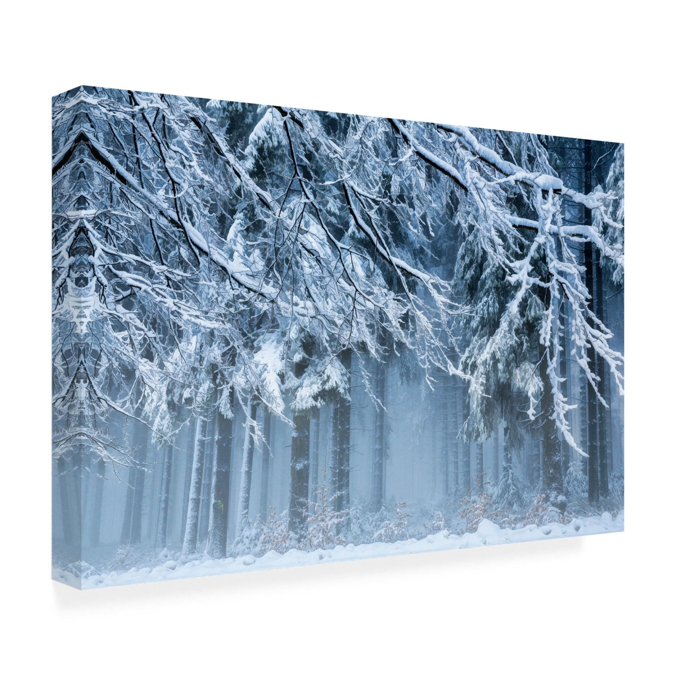 Canvas Wall Art - Anton van Dongen 'Snowworld' Wall Art for Living Room, Bedroom, or Office Décor by Trademark Fine Art - 24 x 16 Inches