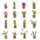 thumbnail image 3 of Mini simulación tridimensional de plantas en macetas con múltiples carnes, simulación de clip para automóvil en maceta, pegatina para refrigerador, corcho de vino tinto, decoración del hogar, 3 of 6