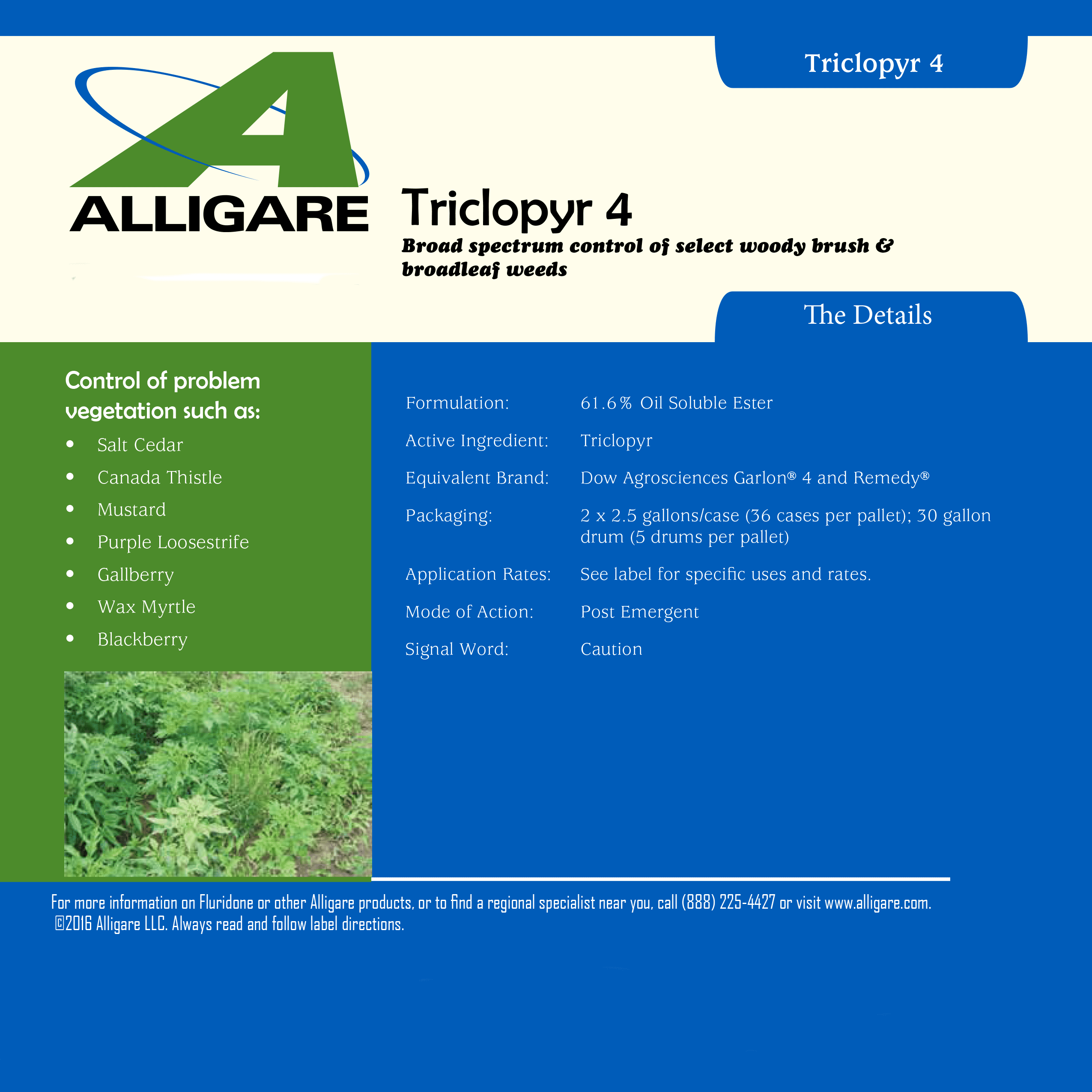 Triclopyr 4EC Herbicide 32 fl oz Bottle by Alligare