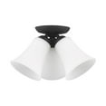 thumbnail image 3 of Livex Lighting Ridgedale Ceiling Mount in Black, 3 of 5