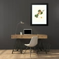 thumbnail image 4 of Giorgio Gallesio 18x24 Black Modern Framed Museum Art Print Titled - Alexandrian Apricot with Bitter Almond. (Armeniaca Alexandrina; Apricot) (1817-1839), 4 of 5