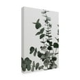 thumbnail image 4 of 1X Studio Iii 'Eucalyptus Natural 07' Canvas Art, 4 of 4