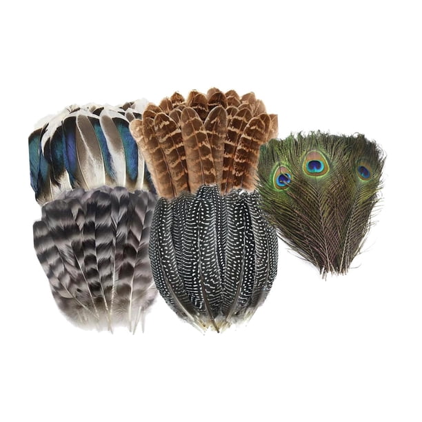 Plumas para manualidades Macarena sombrero de vaquero 50 piezas colores brillantes