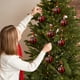 thumbnail image 4 of Pack de 6 Adornos Navideños de Bolas | Decoraciones Colgantes de Tela de 8 Cm para Árbol y Decoración Navideña | Bolas Decorativas Festivas Blancas y Verdes con Cuerdas Preinstaladas, 4 of 6