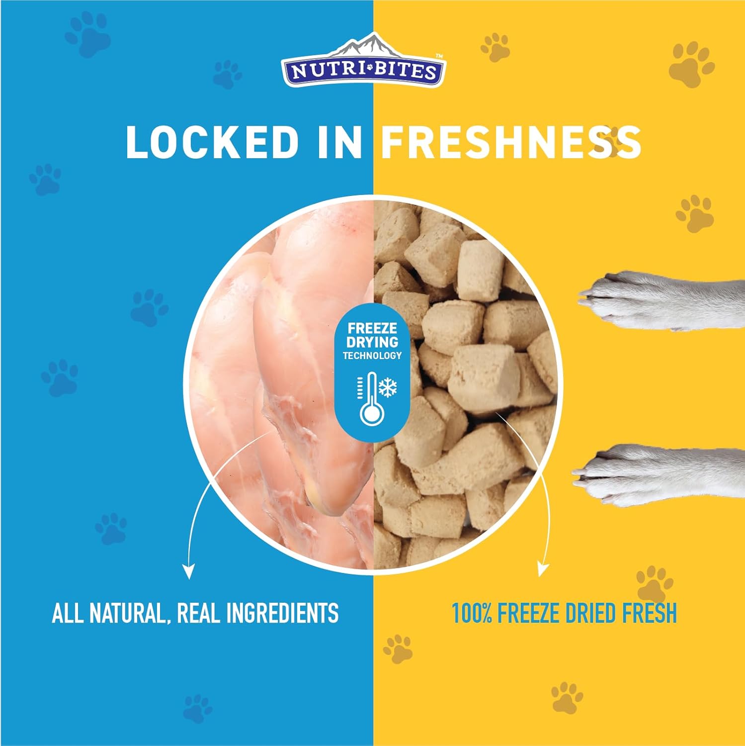 Nutri Bites Freeze Dried Chicken Dog & Cat Treat 4 oz | Healthy Pet Food Topper | All Natural, High Protein
