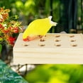 thumbnail image 6 of TOOYFUL Bird Forag Feeder Box Feeding Toys Educational Mental Toy Enrichment Toy Wooden Interactive Hide Treats for Small Animals Rat 20.8x12.8x5cm, 6 of 9