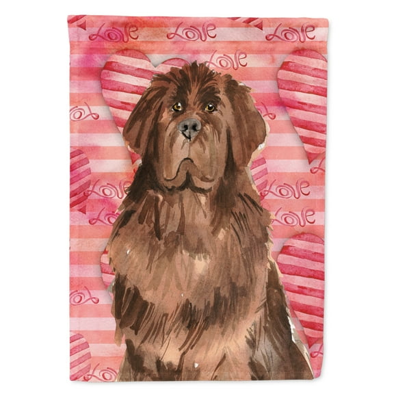 Love a Newfoundland House Flag