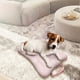 thumbnail image 5 of Alfombras de baño, alfombras para sala de estar, alfombra de área, tapete de baño, almohadilla para cama de perro, almohadilla para dormir para perros, colchón para mascotas, almohadilla para cama, al, 5 of 5